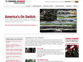 Consol Website image