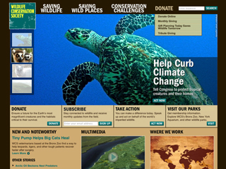 Wildlife Conservation Society image