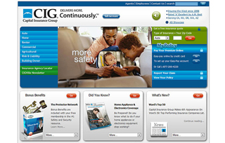Capital Insurance Group image