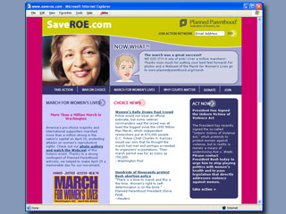 SaveRoe 2004 Website image