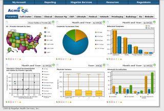 Magellan Dashboard Report image