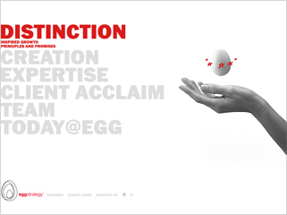 Egg Strategy website image