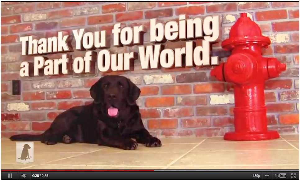 BlackDog Advertising 2010 Holiday Video eCard image