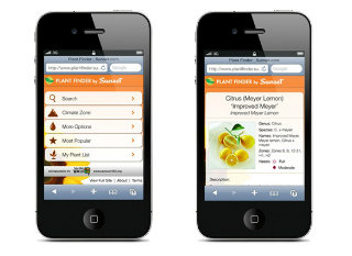 Sunset Plant Finder Application Design image