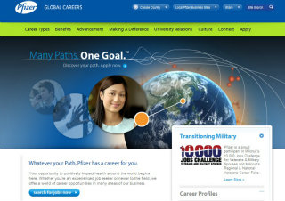 Pfizer Global Careers Site image