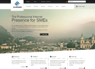 Corporate Website  image