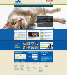 MVS Hospital Website image