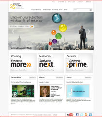 Syniverse.com image