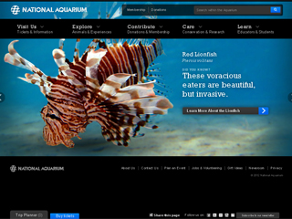 National Aquarium Brings Animals and Conservation to Life with New Site Design image