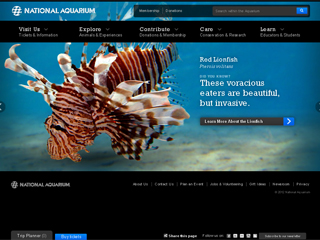 National Aquarium Brings Animals and Conservation to Life with New Site Design image
