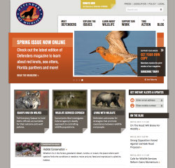 Defenders of Wildlife image