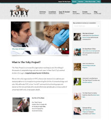 The Toby Project image