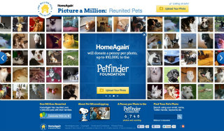HomeAgain Picture A Million image