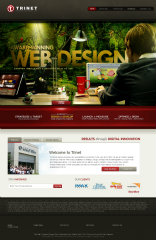 Trinet Internet Solutions, Inc. Website image