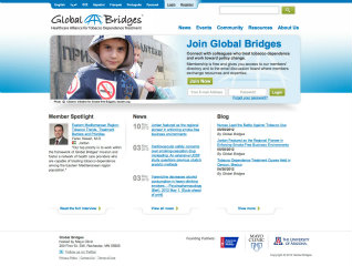 Global Bridges image
