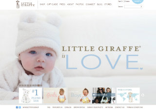 Little Giraffe image
