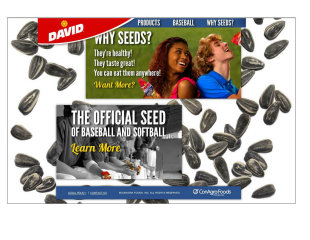 David Seeds Site Redesign image