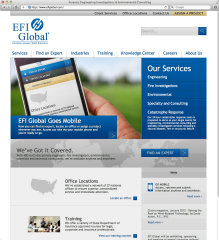 EFI Global image