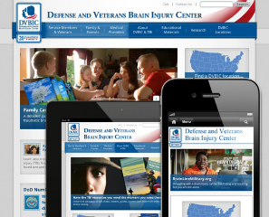 Defense and Veterans Brain Injury Center (DVBIC) image