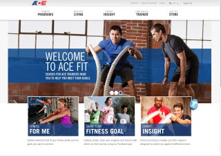 ACE Fit image
