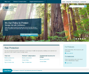 HM Insurance Group Responsive Web Design image