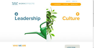 Work Effects image