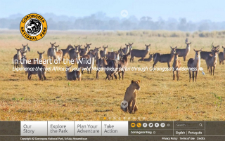 Gorongosa National Park image