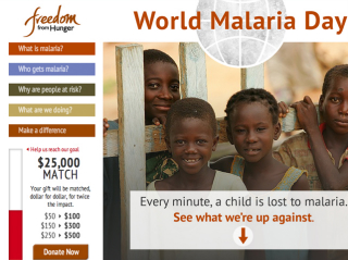 Freedom from Hunger: World Malaria Day image