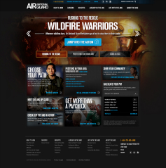 Air National Guard Site Experience image