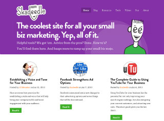 Skadeedle: The Coolest Site for All Your Small Biz Marketing image