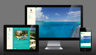 The Phoenix Resort Belize image