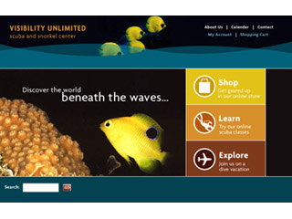 Visibility Unlimited image