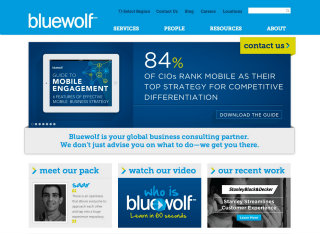 Bluewolf, Global Consulting Firm image