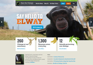 Save the Chimps Website image