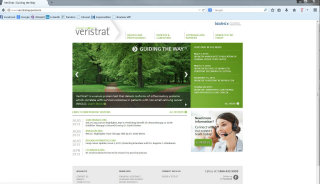 VeriStrat image