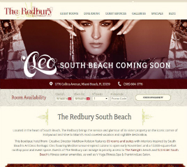 The Redbury South Beach Website image