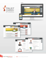Trust Company of America Website image