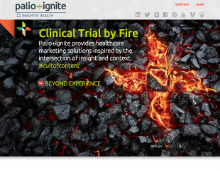 Palio+Ignite Website image