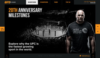 UFC 20th Anniversary  image