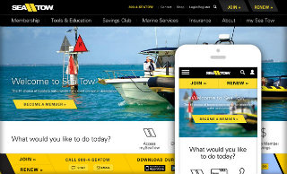 Sea Tow image