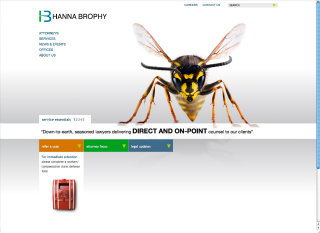 Hanna Brophy Website image