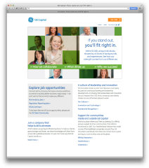 Culture and Inclusion Recruitment Website image