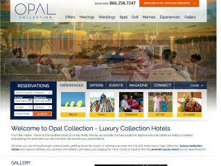 OPAL Collection image