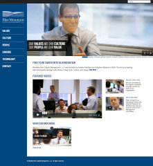 Blue Mountain Capital Management Recruitment website image