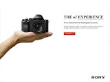 Sony A7 image