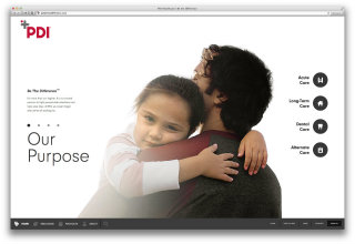 PDI Healthcare Website image