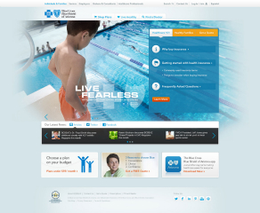 Blue Cross Blue Shield of Arizona Website Redesign image