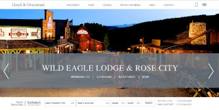 Lloyd and Overstreet Real Estate Website image