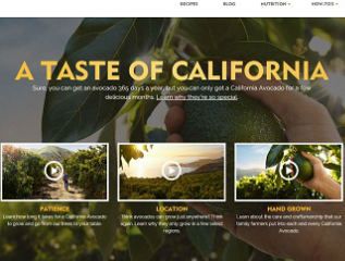 California Avocado Website Redesign image