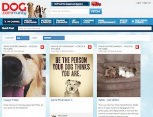 Dog.com: Social Commerce Site And Community image